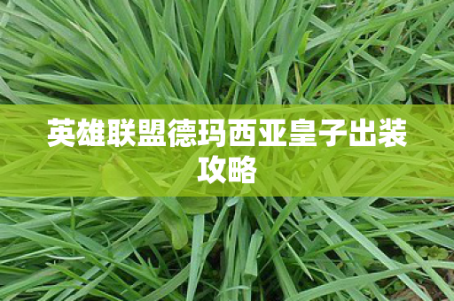 英雄联盟德玛西亚皇子出装攻略图片