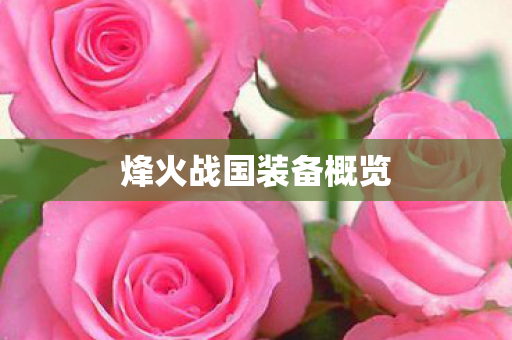 烽火战国装备概览图片