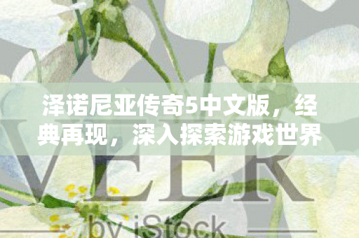 泽诺尼亚传奇5中文版图片