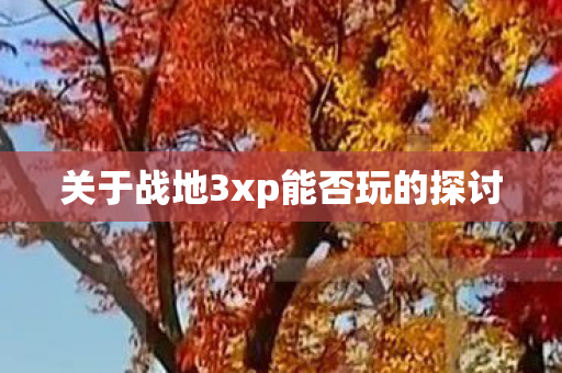 关于战地3xp能否玩的探讨图片