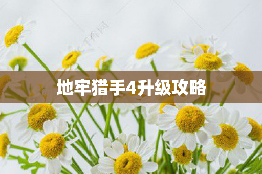 地牢猎手4升级攻略图片