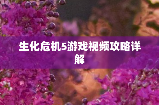 生化危机5游戏视频攻略详解图片