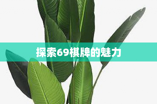 探索69棋牌的魅力图片