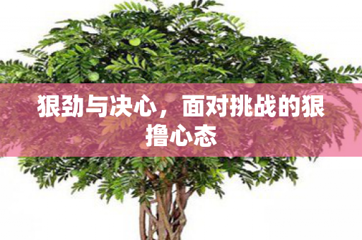面对挑战的狠撸心态图片