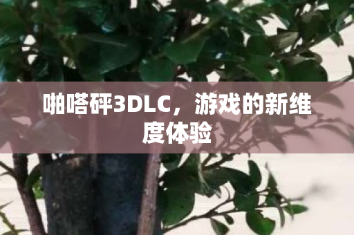 游戏的新维度体验图片