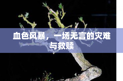 一场无言的灾难与救赎图片