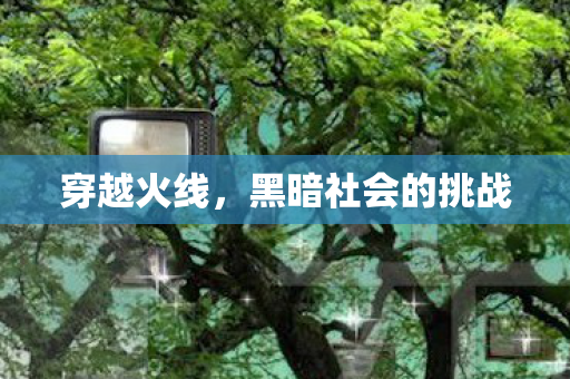 黑暗社会的挑战图片