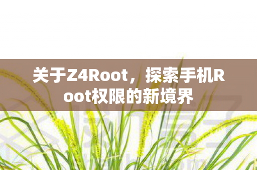 探索手机Root权限的新境界图片