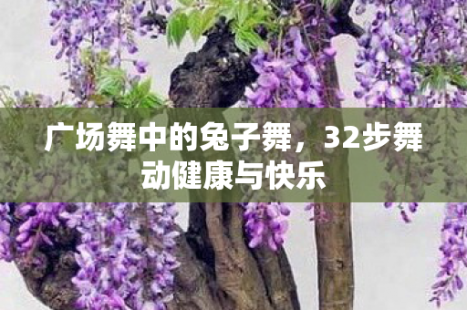 32步舞动健康与快乐图片