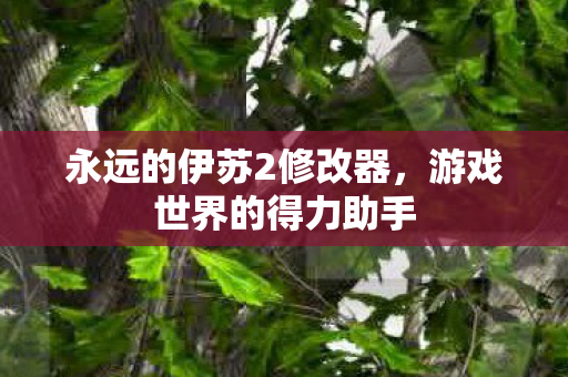 永远的伊苏2修改器图片