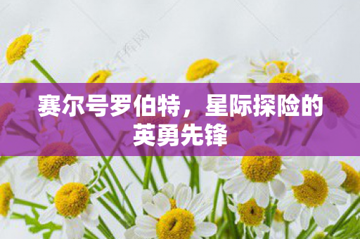 星际探险的英勇先锋图片