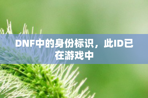 DNF中的身份标识图片