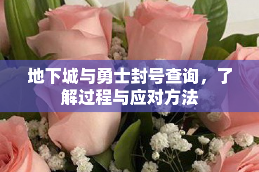 地下城与勇士封号查询图片