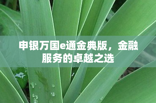 申银万国e通金典版图片