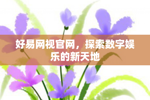 探索数字娱乐的新天地图片