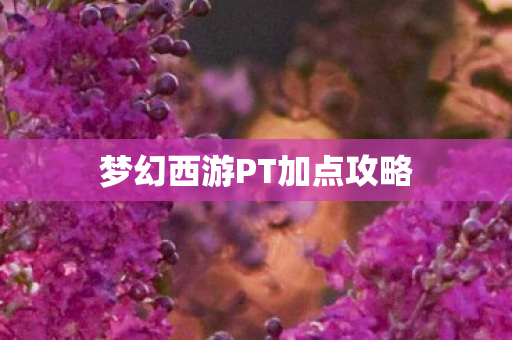 梦幻西游PT加点攻略图片