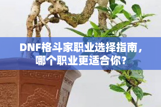 DNF格斗家职业选择指南图片