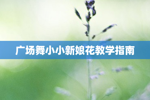 广场舞小小新娘花教学指南图片