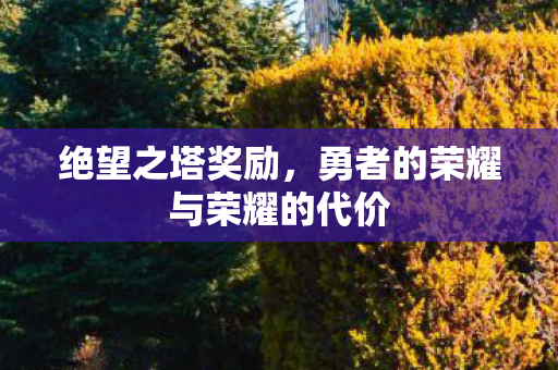勇者的荣耀与荣耀的代价图片