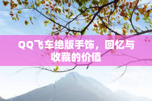 QQ飞车绝版手饰图片