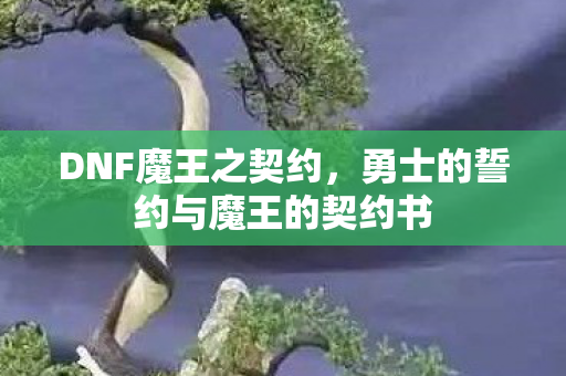 勇士的誓约与魔王的契约书图片