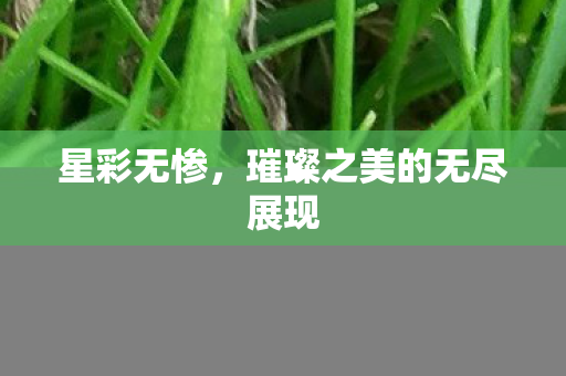 璀璨之美的无尽展现图片