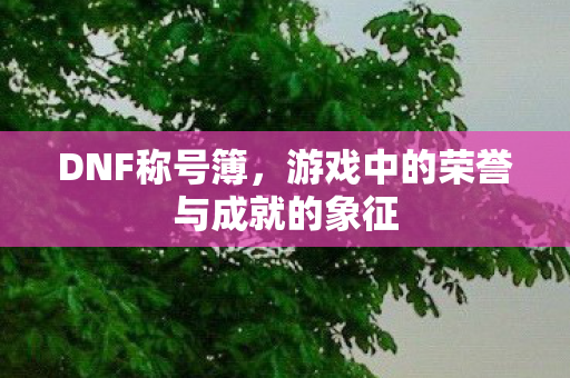 游戏中的荣誉与成就的象征图片