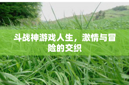 激情与冒险的交织图片