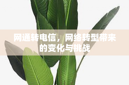 网络转型带来的变化与挑战图片