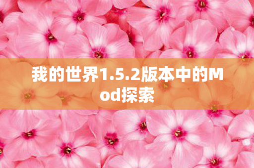 2版本中的Mod探索图片