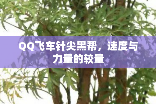 QQ飞车针尖黑帮图片