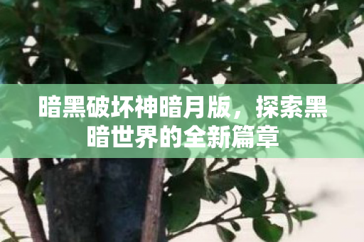 探索黑暗世界的全新篇章图片