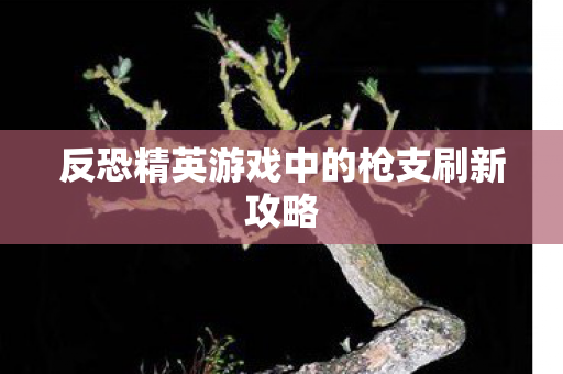 反恐精英游戏中的枪支刷新攻略图片