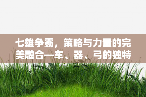 策略与力量的完美融合图片