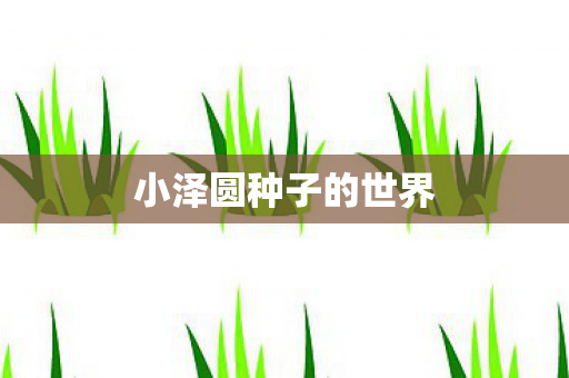 小泽圆种子的世界图片