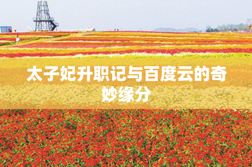 太子妃升职记与百度云的奇妙缘分图片