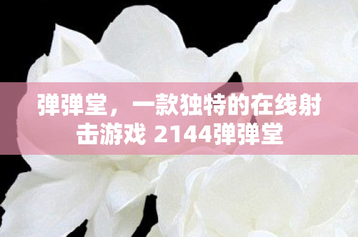 一款独特的在线射击游戏 2144弹弹堂图片