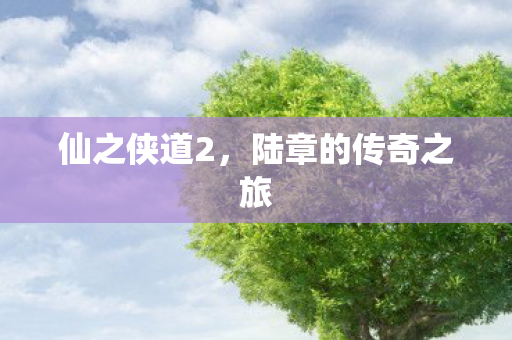 陆章的传奇之旅图片