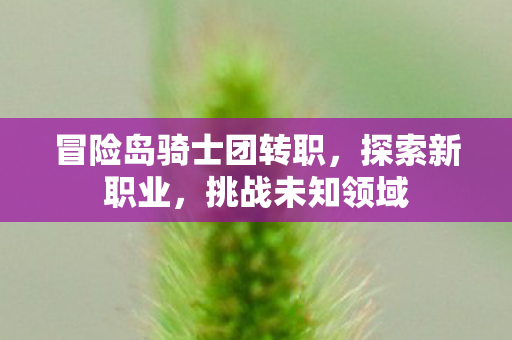 冒险岛骑士团转职图片