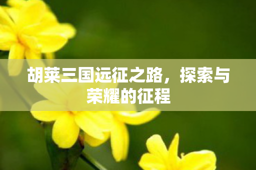 胡莱三国远征之路图片