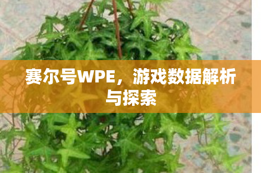 游戏数据解析与探索图片