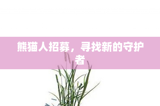 寻找新的守护者图片