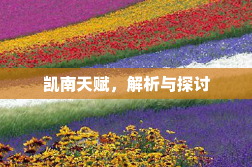 解析与探讨图片