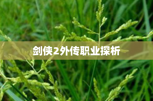 剑侠2外传职业探析图片
