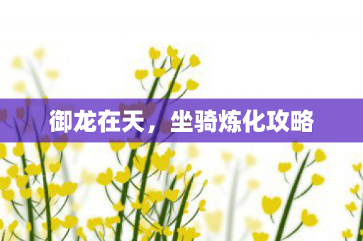 坐骑炼化攻略图片