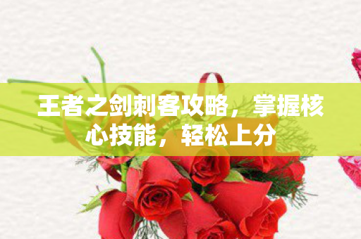 王者之剑刺客攻略图片