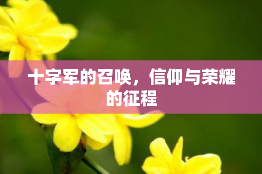 信仰与荣耀的征程图片