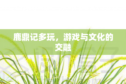 游戏与文化的交融图片