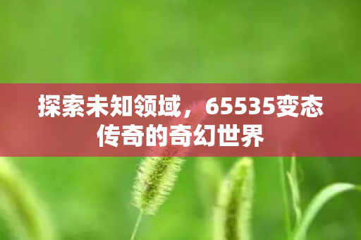 65535变态传奇的奇幻世界图片