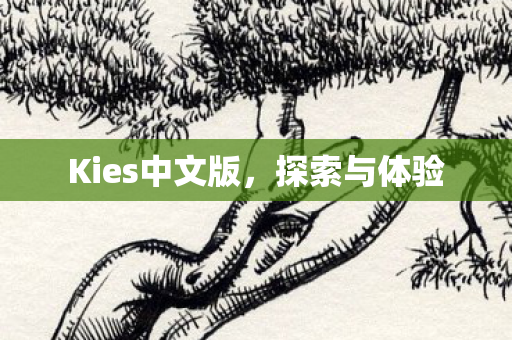 Kies中文版图片